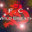 Wild Breath 축구팀 팀원 대거 모집 (서울 관악구) 이미지