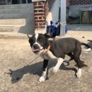 형산리 마을회관 이미지