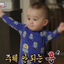 가창큰나무집 약령시점 | ■ 대구 중구 약령시 백숙 / 삼계탕 맛집 _ 가창큰나무집 약령시점