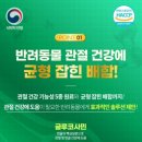 펫니즈 이미지