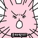 씨스타와이 이미지