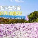 (주)바다여행사