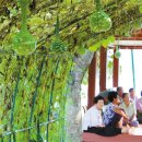 해정경로당 이미지