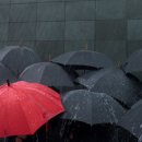 우산정보 이미지