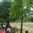 적성체육공원 축구장 이미지