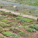 만지원농장 이미지