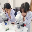 전북여자고등학교 | 미세조류 관찰과 배양 실험 활동 [미세조류 프로젝트 / 24.7.17 인천광역시 전북여자고등학교]