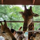 달바위농장 이미지