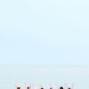 서해다방 티스토리