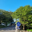 하얀달(HAYANDAL) 이미지