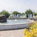 카멜리아힐 이미지