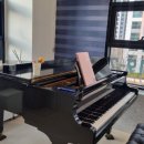 이지수 음악학원 이미지