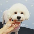 괴정3동-3 이미지