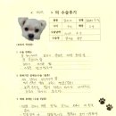 1434 | [#1434] 해피(양측 슬개골탈구 G2, G3)의 수술후기