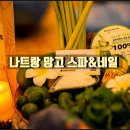 망고네일 - 창원시 마산회원구 | 망고네일