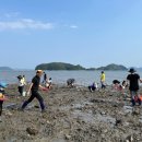 대포어촌체험휴양마을 이미지