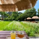 돈버는 언니 이미지