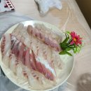 대한수산회센타 이미지