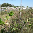 사양농장 이미지