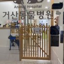 거산동물병원 이미지