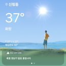 미산-4 | 런닌이의 두 달 간의 러닝 후기 (4km 러닝 | 미산러닝장학금 | 여름철 페이스 관리법)