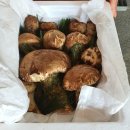 산청덕산광고