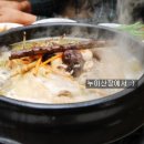김해산장