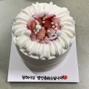 브래드 Lee