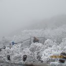 대형주차장입구 이미지