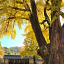 전주향교 이미지