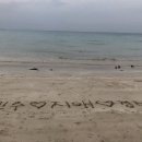 도르멍스테이 이미지