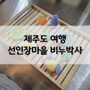 제주도 초등 아이 실내 체험 선인장마을 비누박사 비누 만들기 한림읍 여행 갈만한 곳