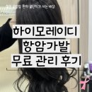 하이모레이디 | 종로 하이모레이디 항암가발 생일 쿠폰 무료 관리 후기