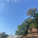 요가빌리지