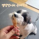 영양언니의 수제간식 이미지