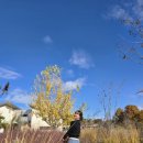 우미관농장 이미지