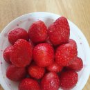 초밥잇수다 이미지