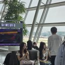 시드니1 이미지