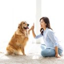 (자격증)반려동물행동교정사 이미지