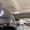 카니발무도장 이미지