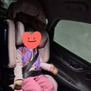 에어브이 | 💗 다이치 브이가드 주니어3 에어 사용 후기(내돈내산)