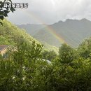 싸리목캠핑장 | 인제에서 만난 자연 힐링의 정석, 싸리목캠핑장 방문 후기🌿