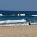 강문해변 이미지