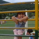 삼룡초등학교 이미지