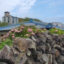 하귀씨 민박 이미지