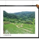 세심마을 이미지