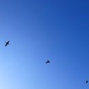 신당리마을회관 이미지