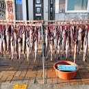 해파랑길 49코스 이미지