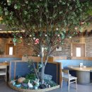 가마골 백숙 이미지