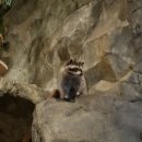 S047 | 한주 일상- 헬러 공기청정기, 사세 버팔로윙, 태전동 쁘띠몽드, 경안동 글로리아